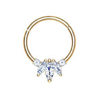 Segment Marquise