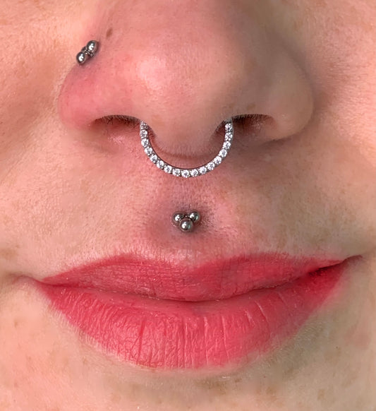 Segment  zircon frontal