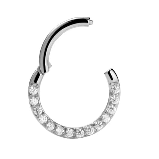 Segment  zircon frontal