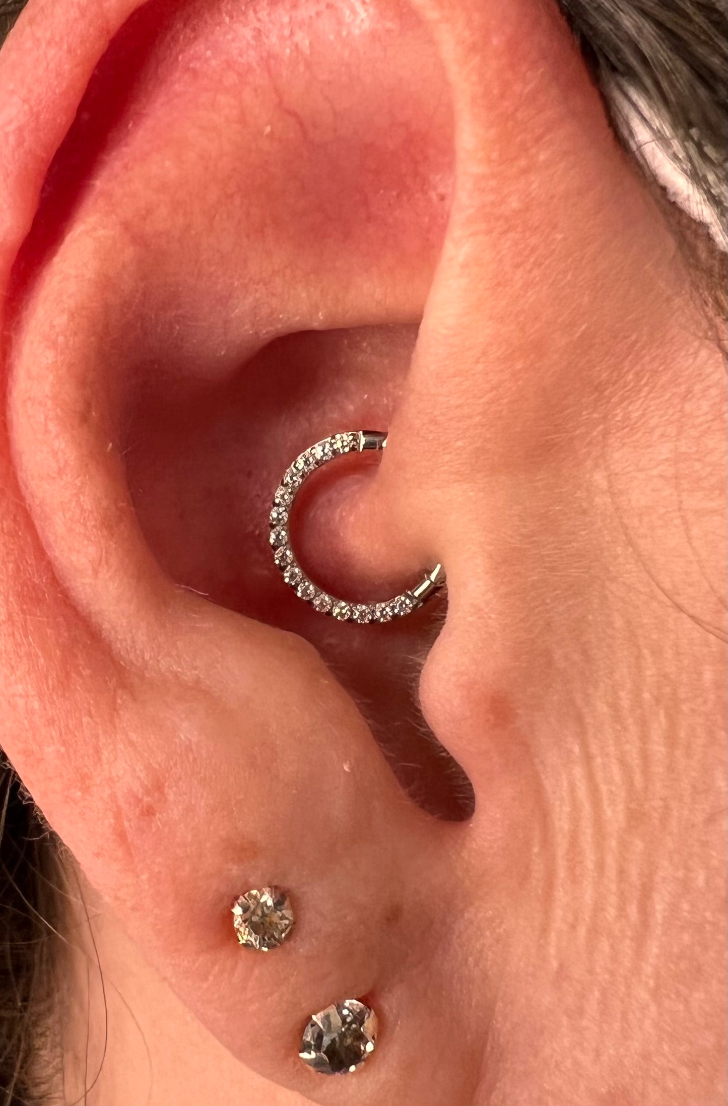 Segment  zircon frontal